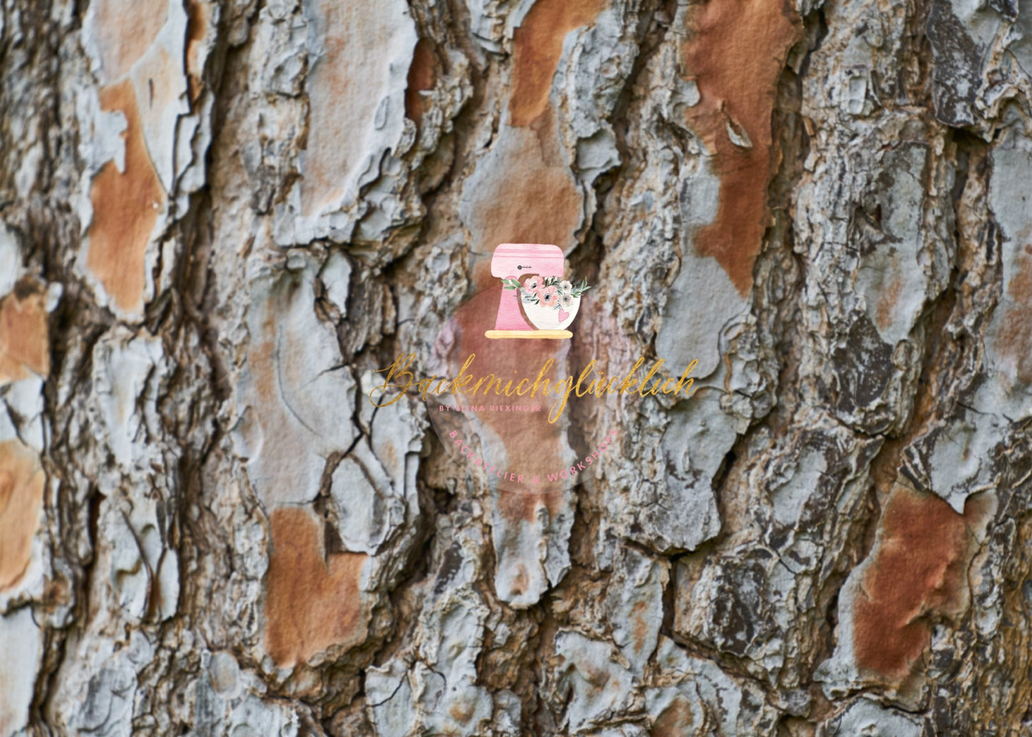 Fondantdruck auf Zuckerpapier Baumrinde