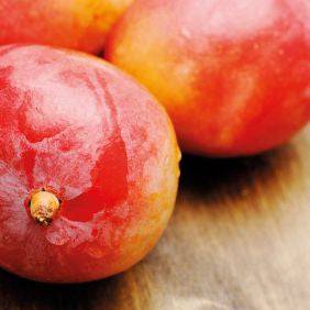 Mango 120g Geschmackspaste funcakes - Der Backmichgluecklich Online Shop