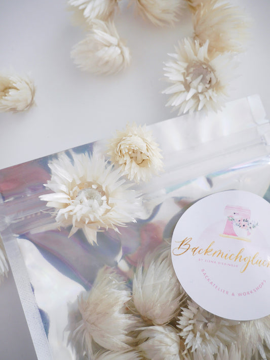 Getrocknete Capblumenkopf Trockenblumen - Der Backmichgluecklich Online Shop