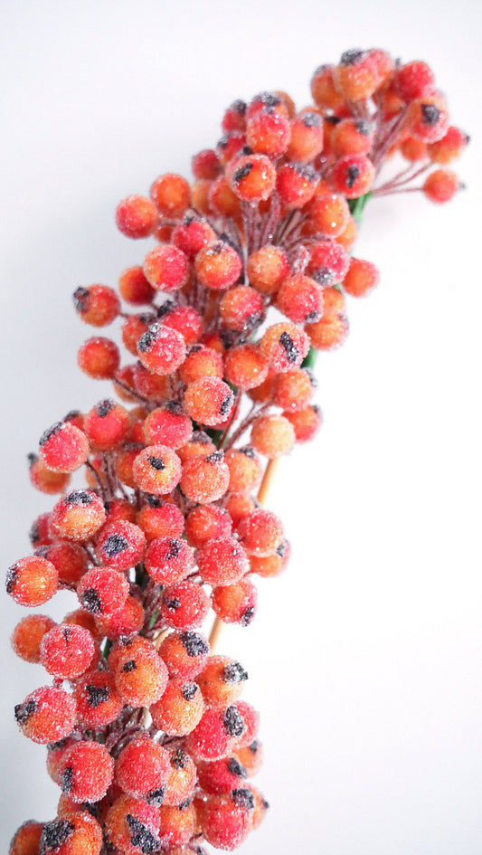 Berry Cluster gezuckert Trockenblumen - Der Backmichgluecklich Online Shop