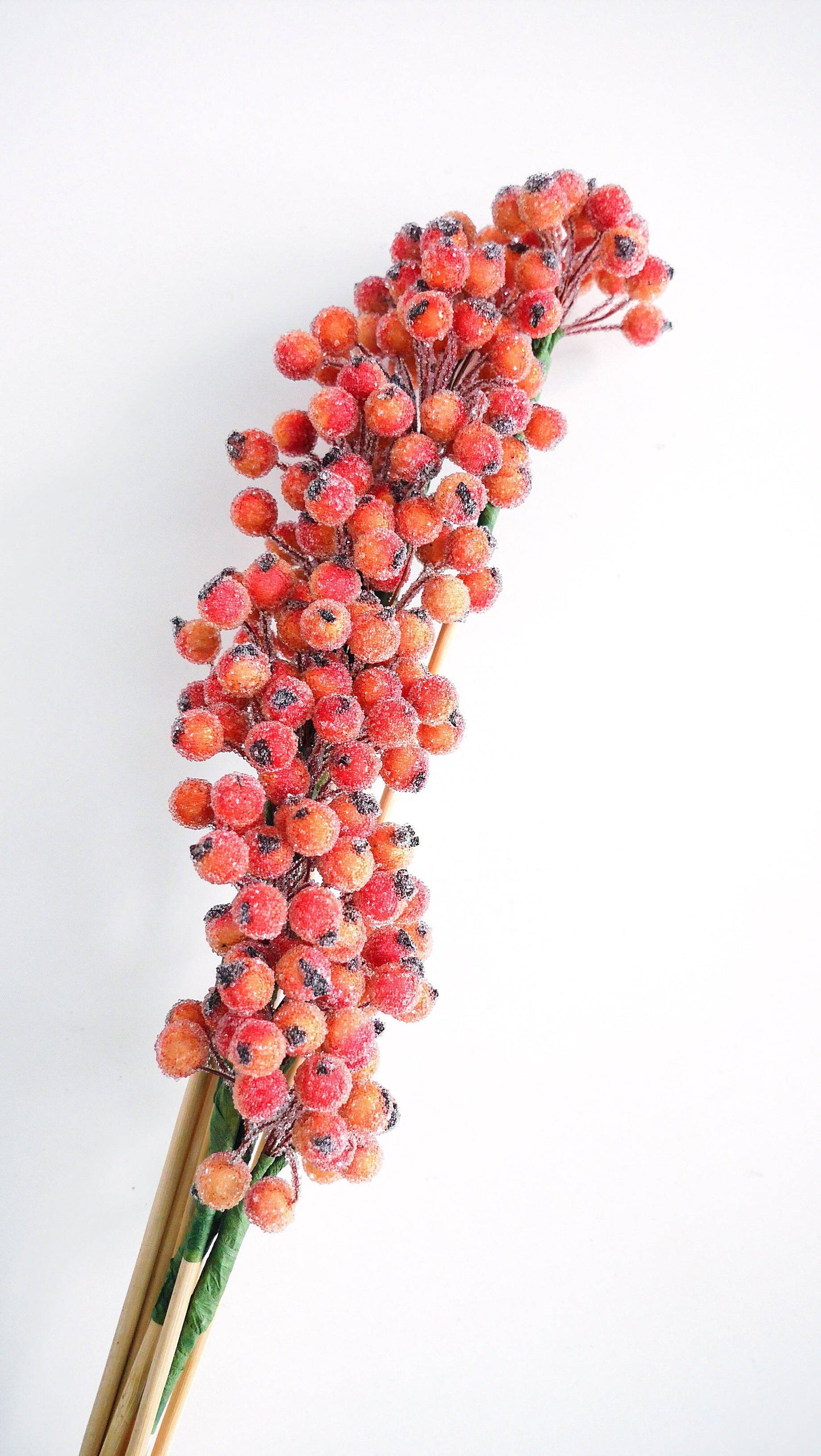 Berry Cluster gezuckert Trockenblumen - Der Backmichgluecklich Online Shop