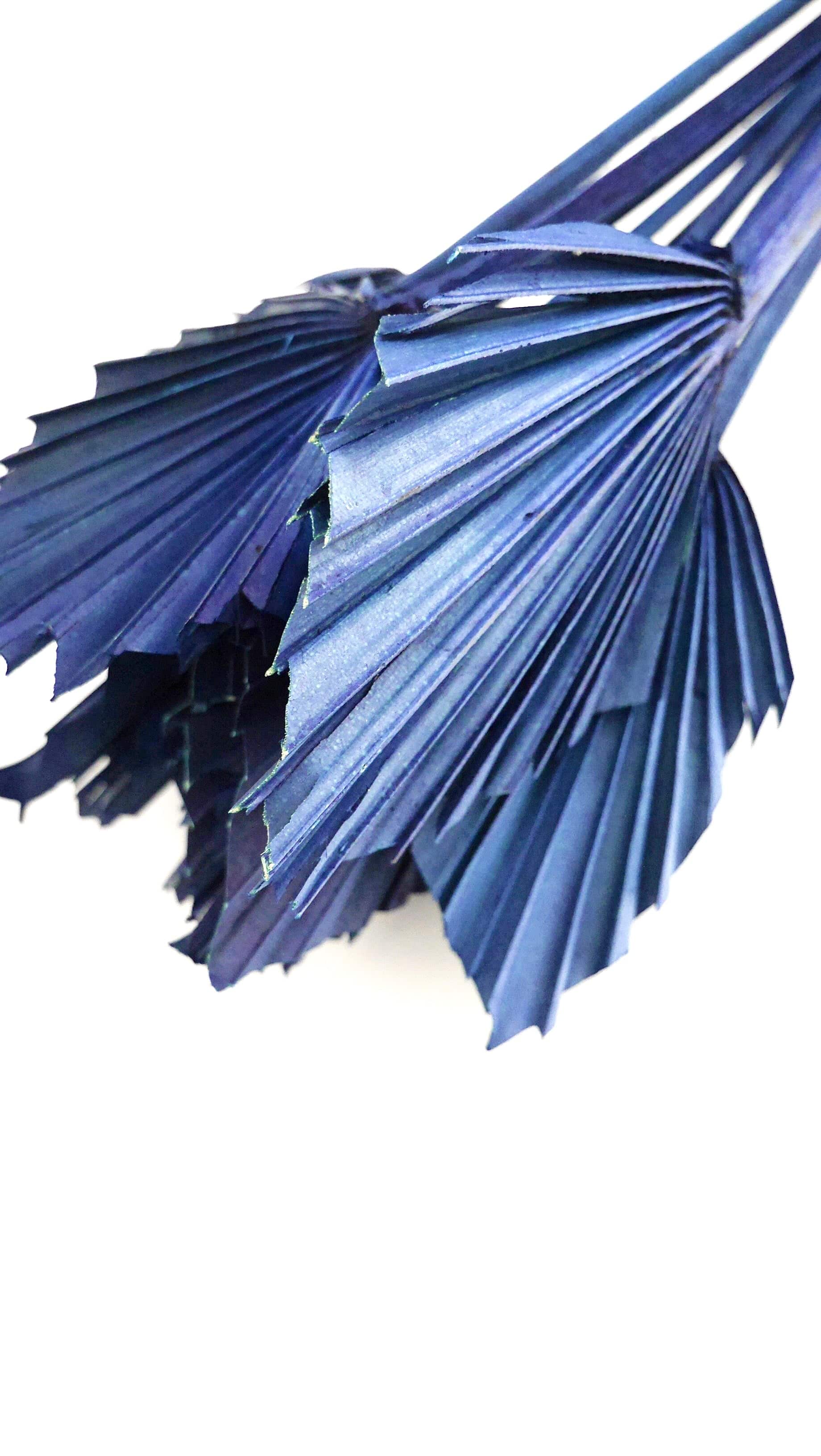 Gefärbte getrocknete Fächerpalmen blau Trockenblumen - Der Backmichgluecklich Online Shop