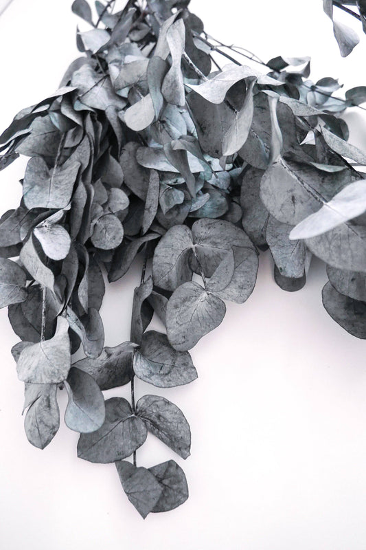 Stabilisierter Eukalyptus Cinerea Trockenblumen - Der Backmichgluecklich Online Shop