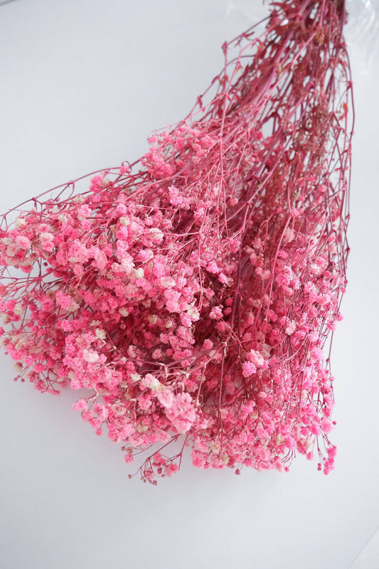 Stabilisiertes Schleierkraut pink Trockenblumen - Der Backmichgluecklich Online Shop